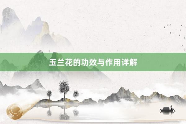 玉兰花的功效与作用详解