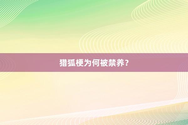 猎狐梗为何被禁养？