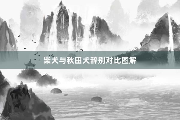 柴犬与秋田犬辞别对比图解
